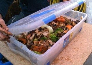 La vermicompostera preparada