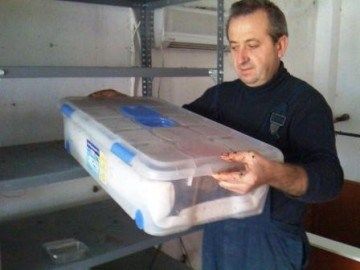 Colocando la vermicompostera