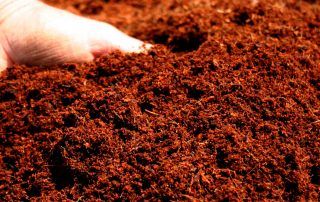 vermicompost