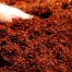 vermicompost
